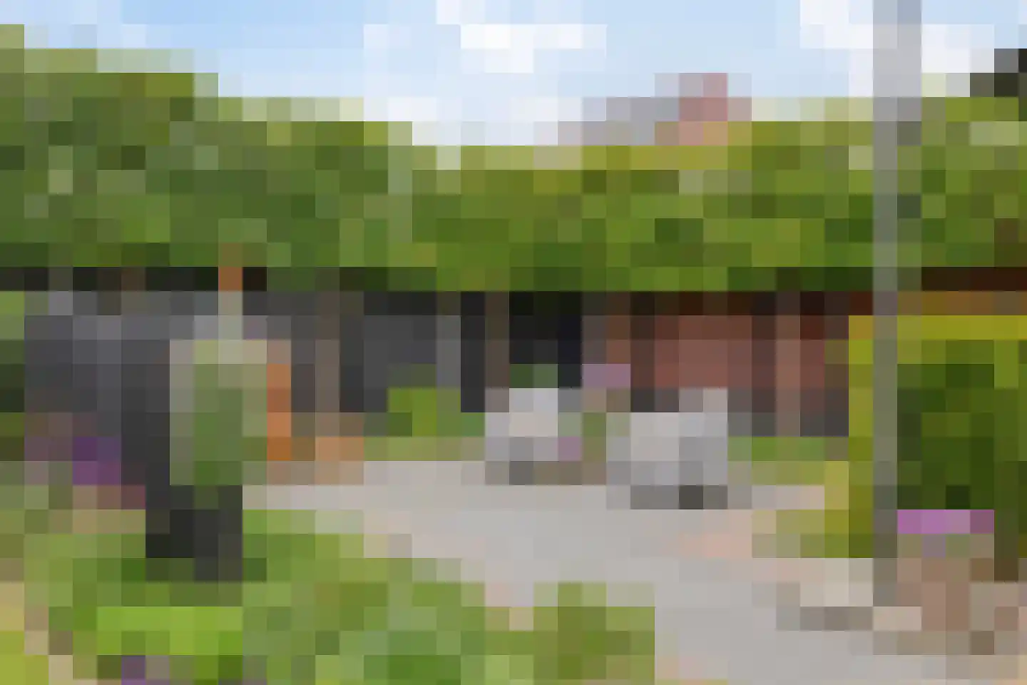 Boekebeamstrjitte 25 Lemmer thumbnail 68