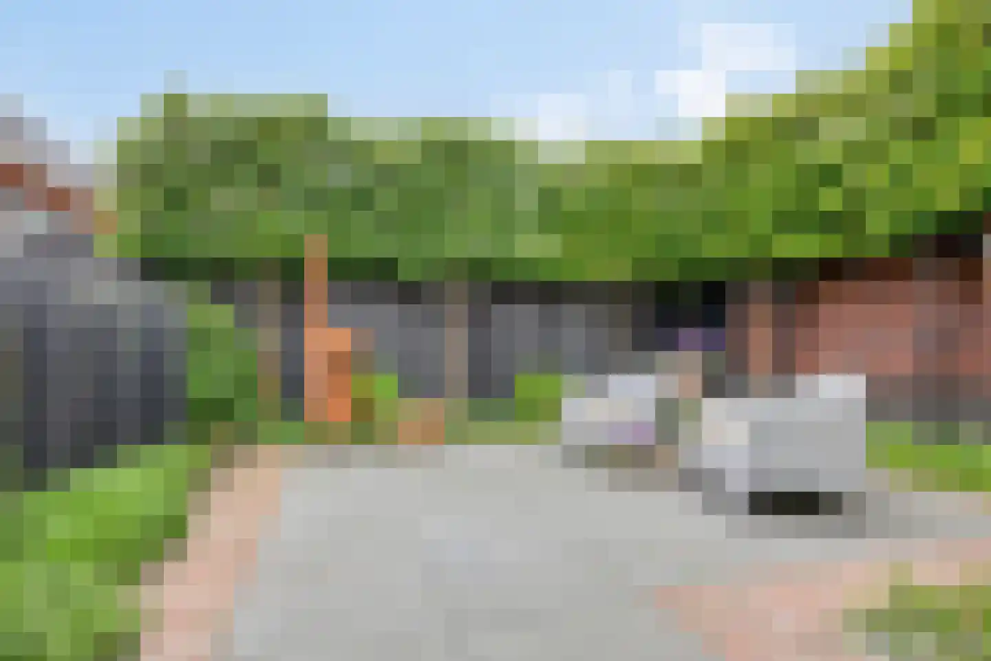 Boekebeamstrjitte 25 Lemmer thumbnail 69
