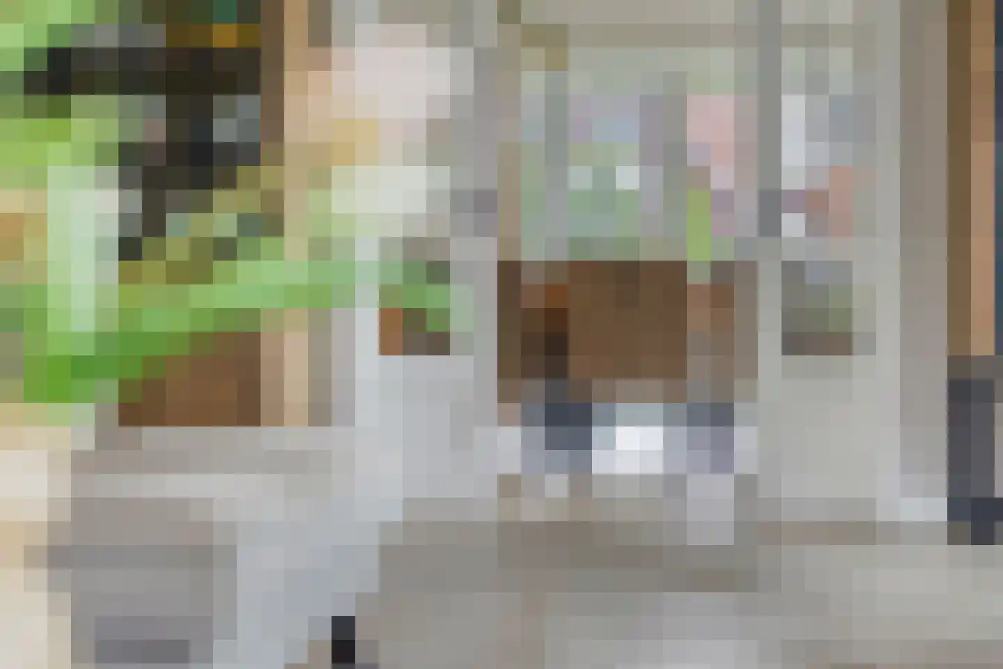 Boekebeamstrjitte 25 Lemmer thumbnail 7