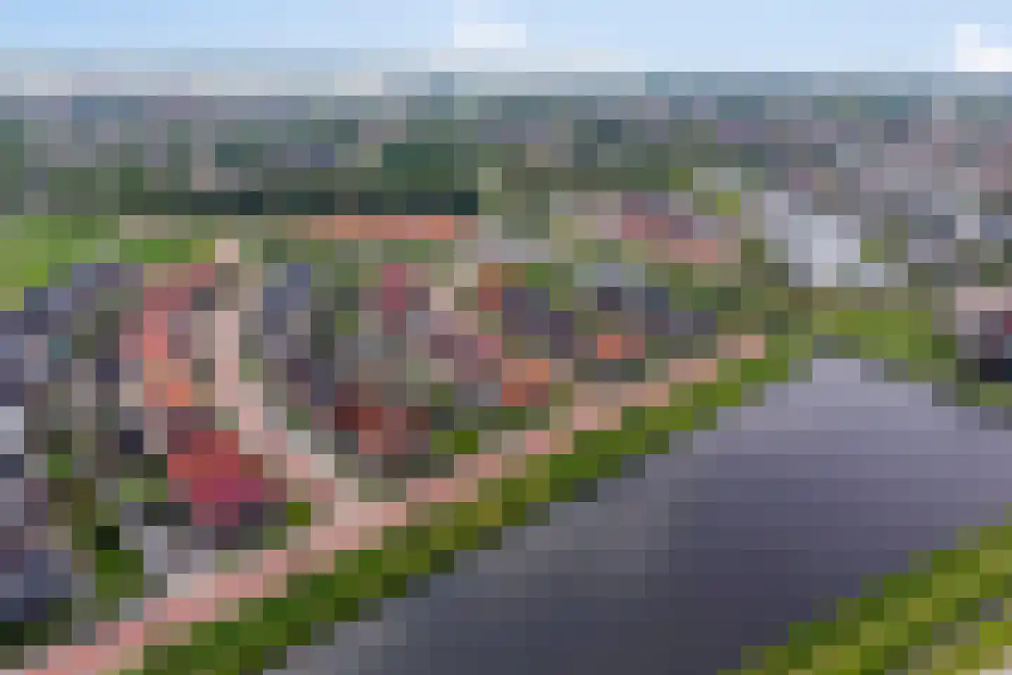 Boekebeamstrjitte 25 Lemmer thumbnail 76
