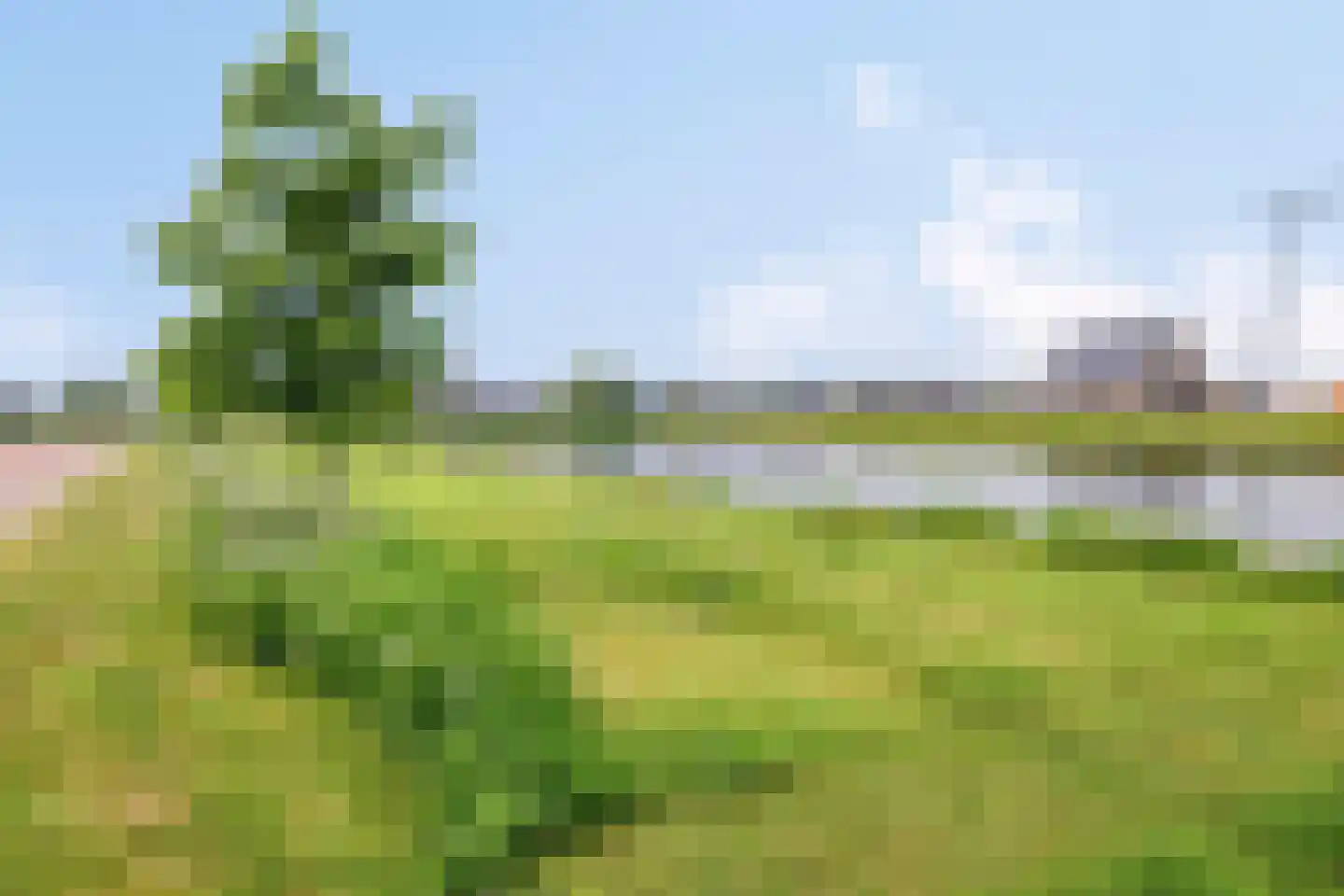 Boekebeamstrjitte 25 Lemmer thumbnail 87