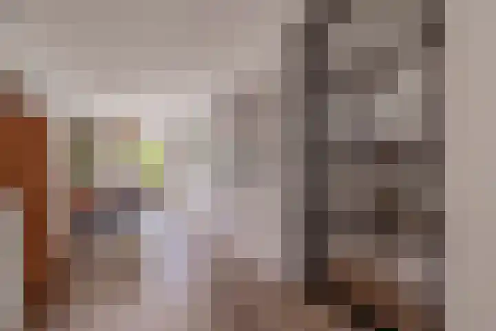 Boekebeamstrjitte 6 Lemmer thumbnail 15