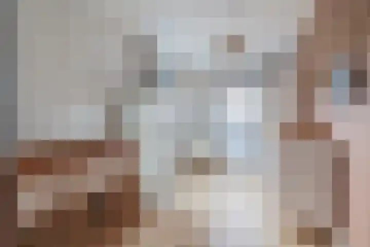 Boekebeamstrjitte 6 Lemmer thumbnail 33