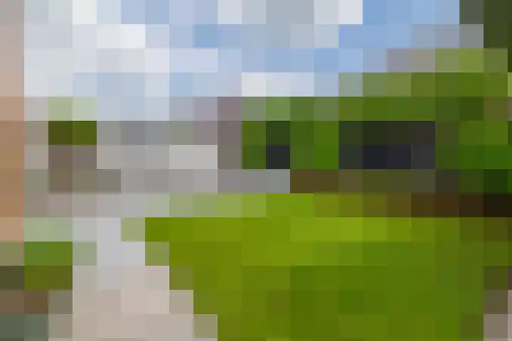 Boekebeamstrjitte 6 Lemmer thumbnail 44