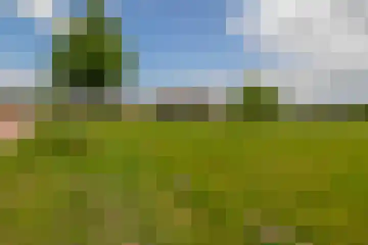 Boekebeamstrjitte 6 Lemmer thumbnail 51