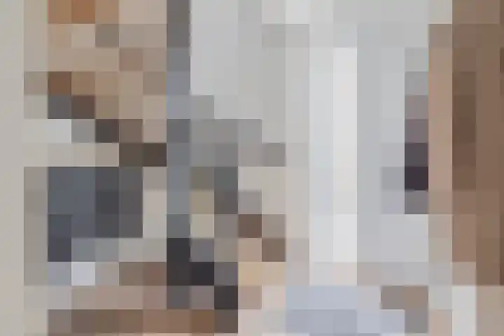 Boekebeamstrjitte 6 Lemmer thumbnail 8