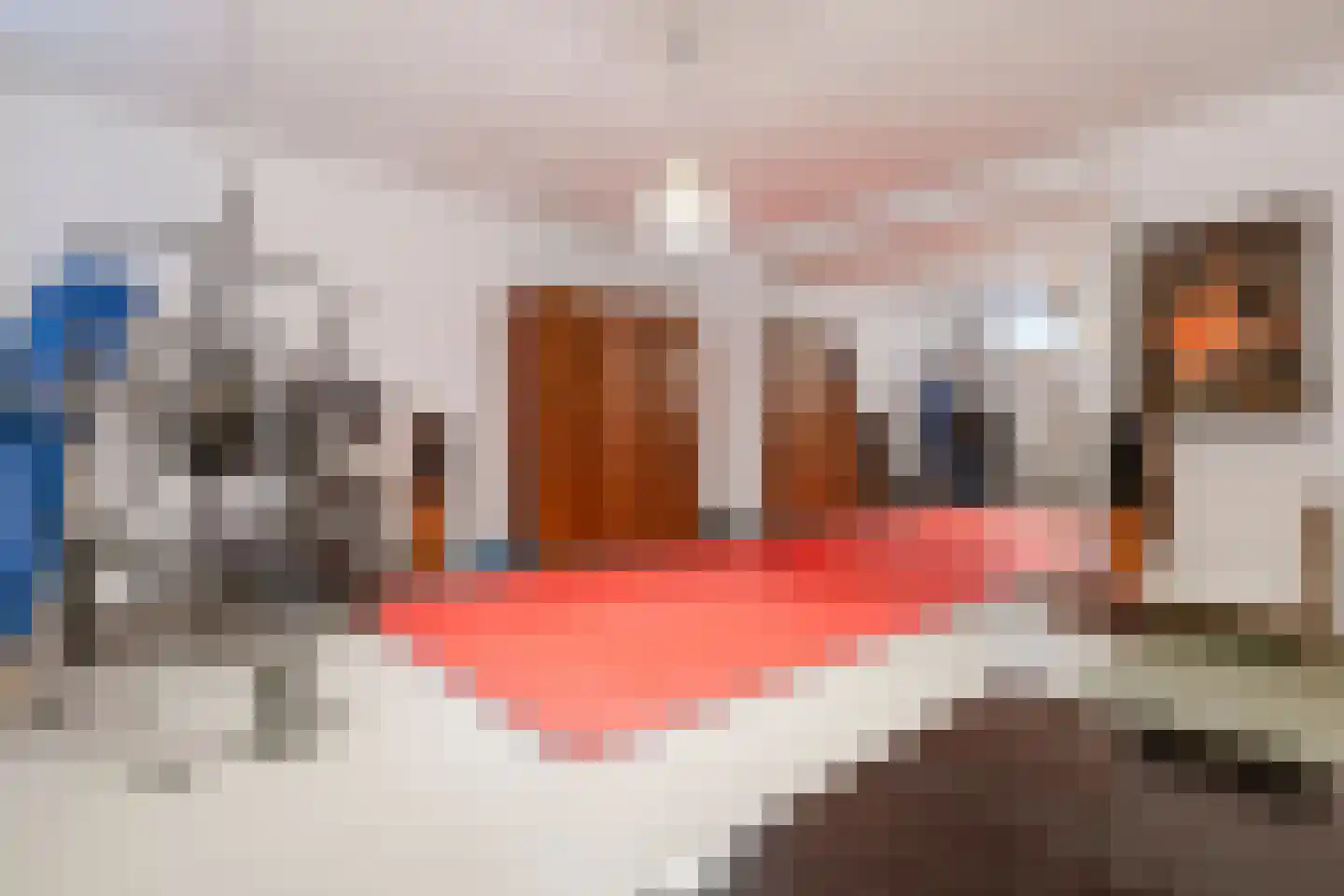 Boekel 8 Akersloot thumbnail 33