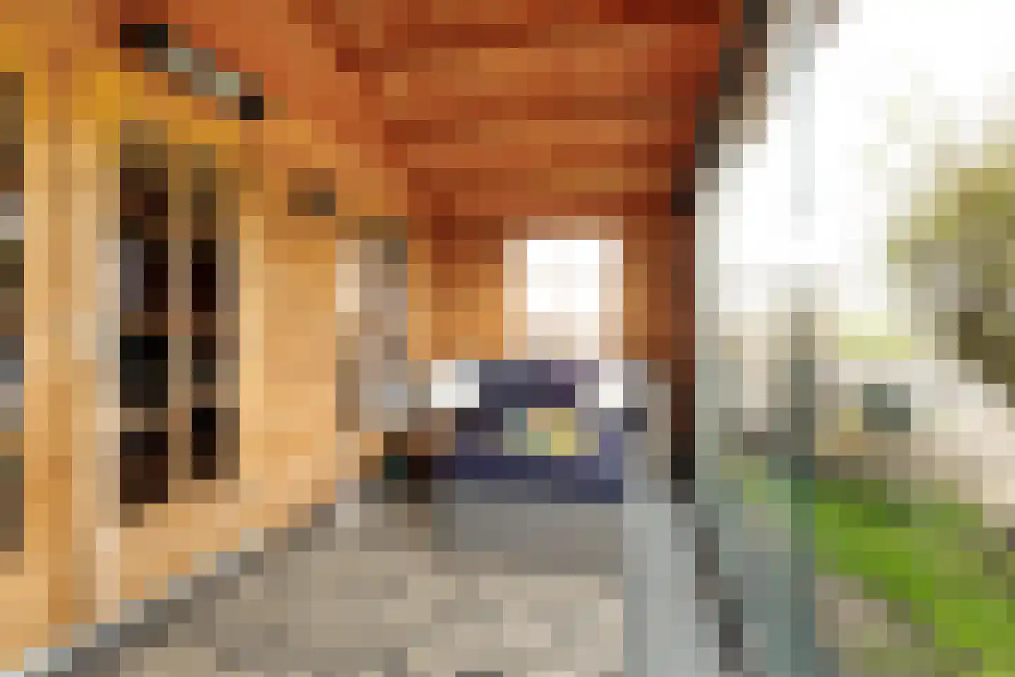 Boekel 8 Akersloot thumbnail 54