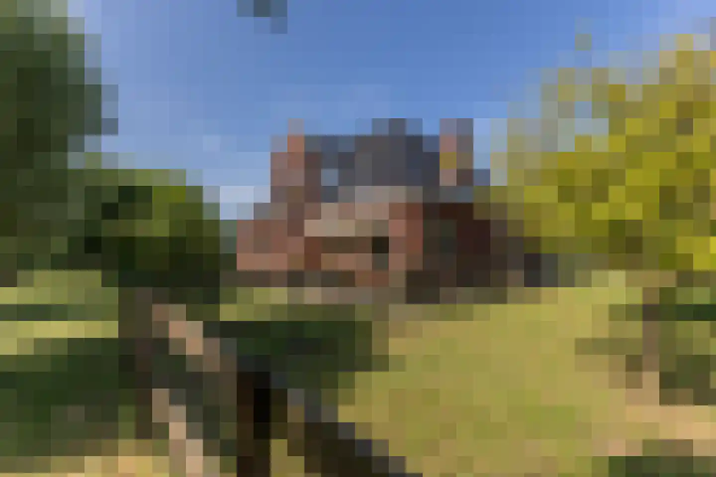 Boekel 8 Akersloot thumbnail 68