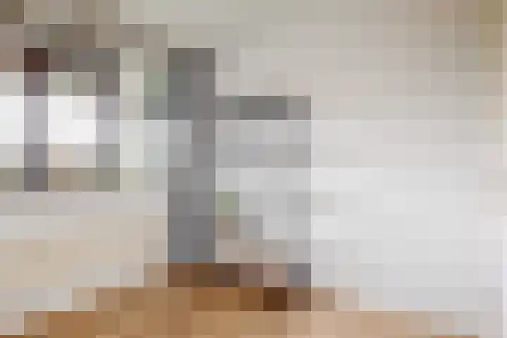 Boekelaan 109 Utrecht thumbnail 15