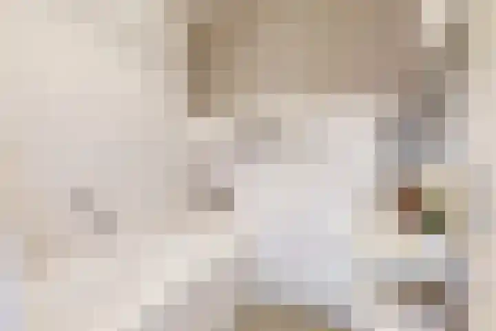 Boekelaan 109 Utrecht thumbnail 20