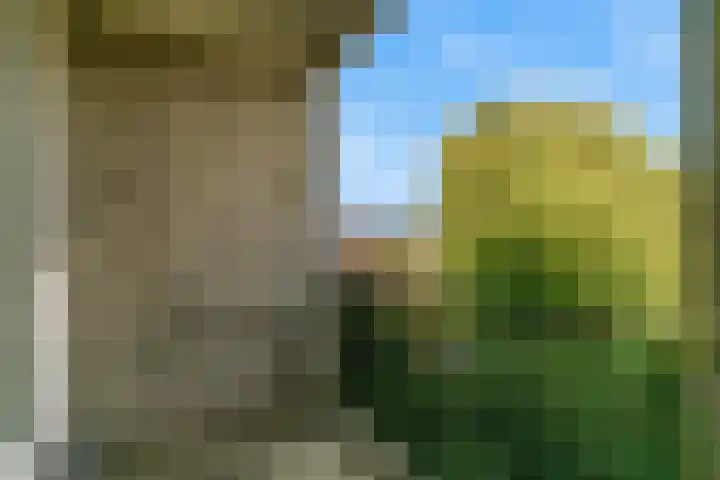 Boekelaan 109 Utrecht thumbnail 22