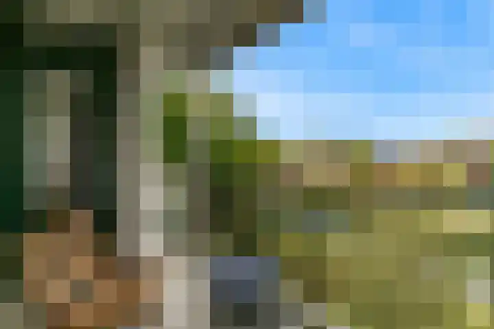 Boekelaan 109 Utrecht thumbnail 25