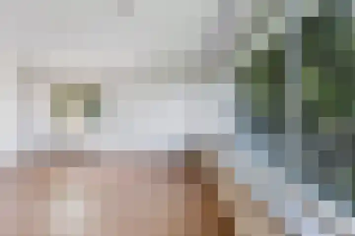 Boekelaan 111 Utrecht thumbnail 11