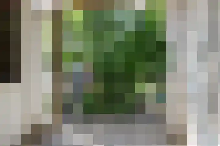Boekelaan 111 Utrecht thumbnail 16