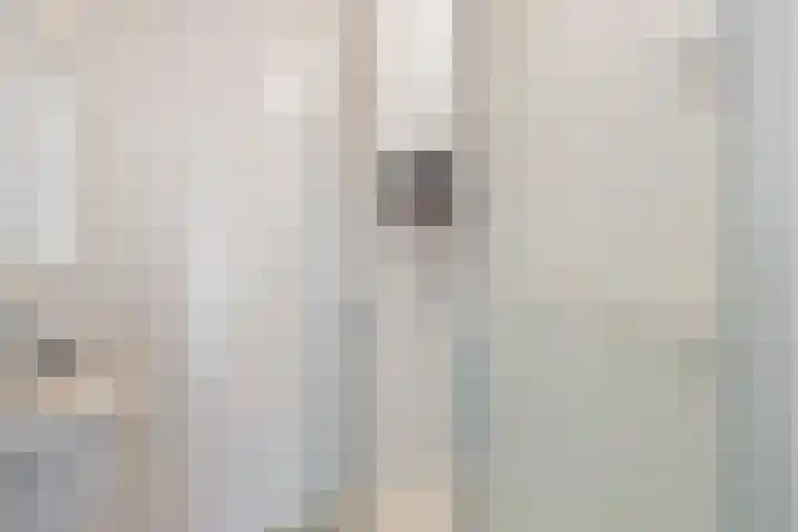Boekelaan 111 Utrecht thumbnail 21