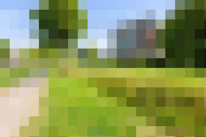 Boekelaan 111 Utrecht thumbnail 26