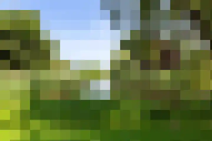 Boekelaan 111 Utrecht thumbnail 28