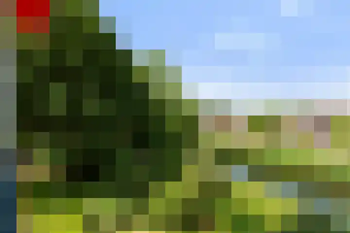 Boekelaan 111 Utrecht thumbnail 29
