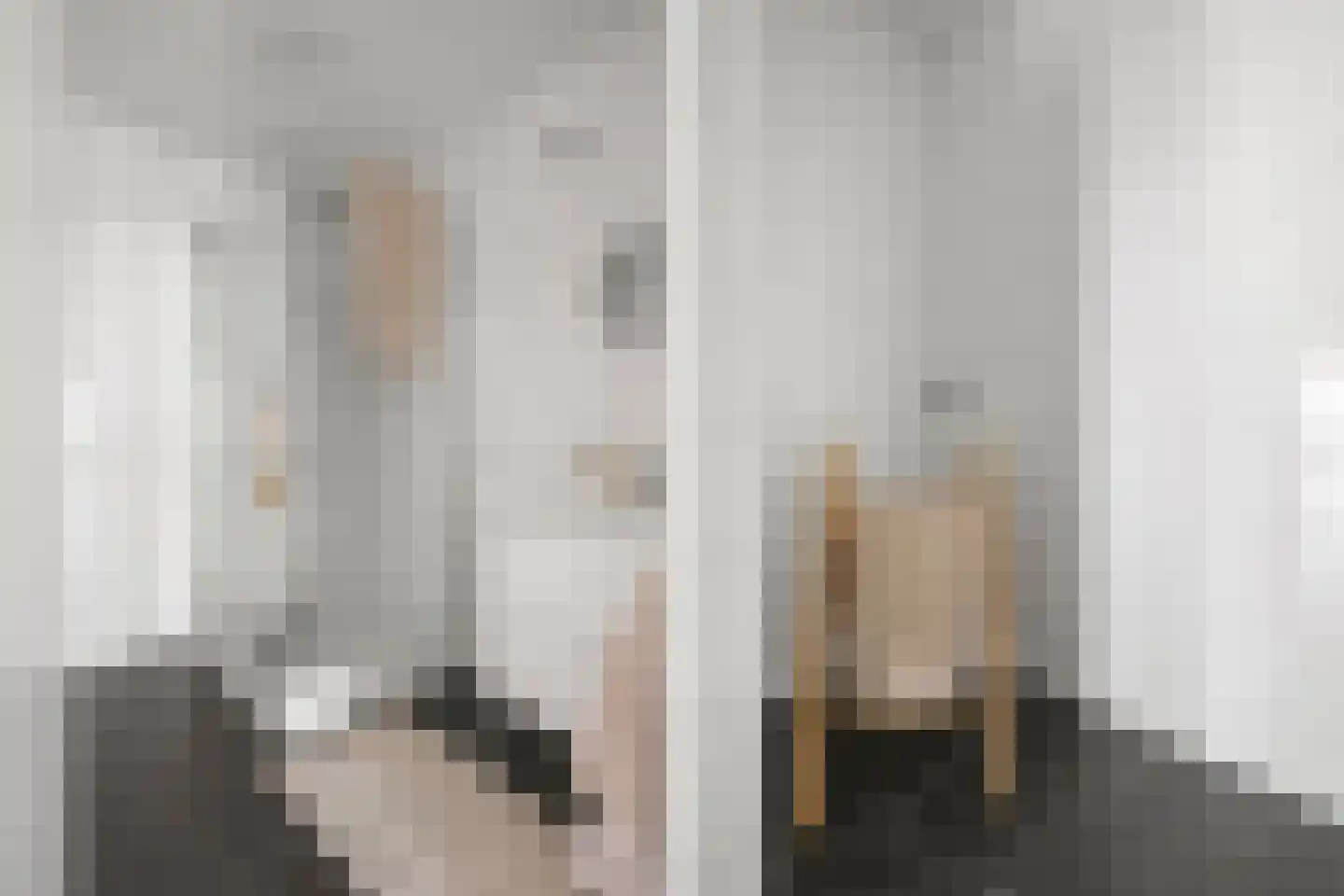 Boekelaan 123 Utrecht thumbnail 12