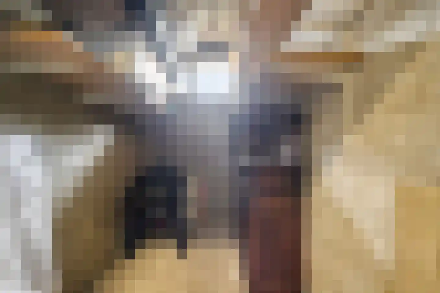 Boekelaan 147 Utrecht thumbnail 27
