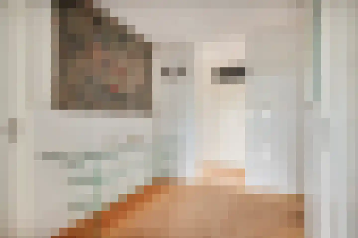 Boekelaan 147 Utrecht thumbnail 8