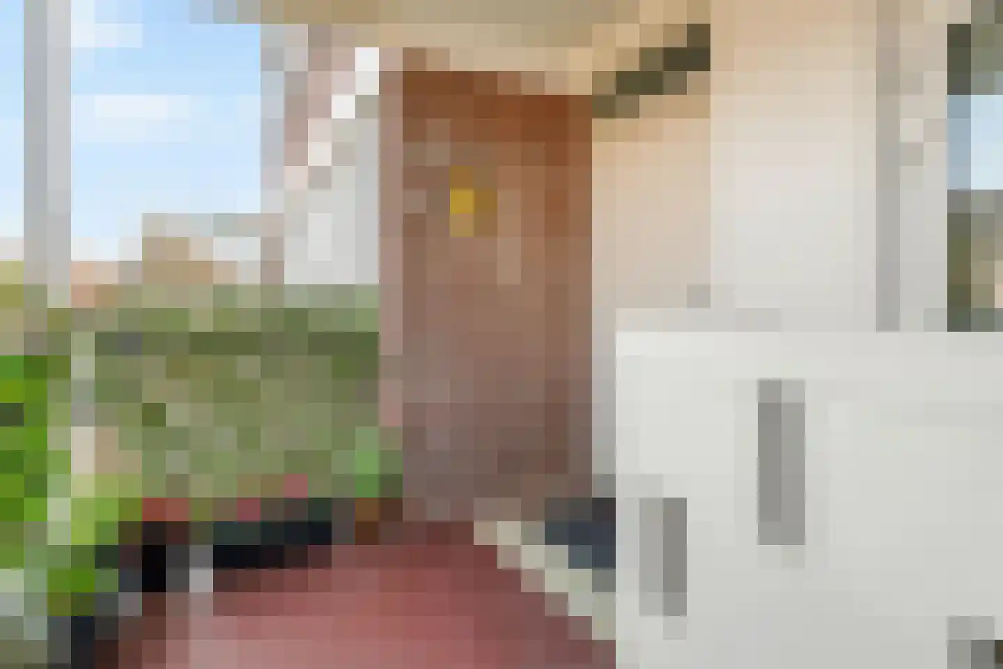 Boekelaan 35 Utrecht thumbnail 28