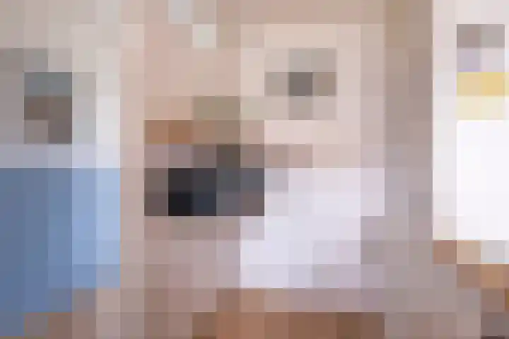 Boekelaan 49 Utrecht thumbnail 11
