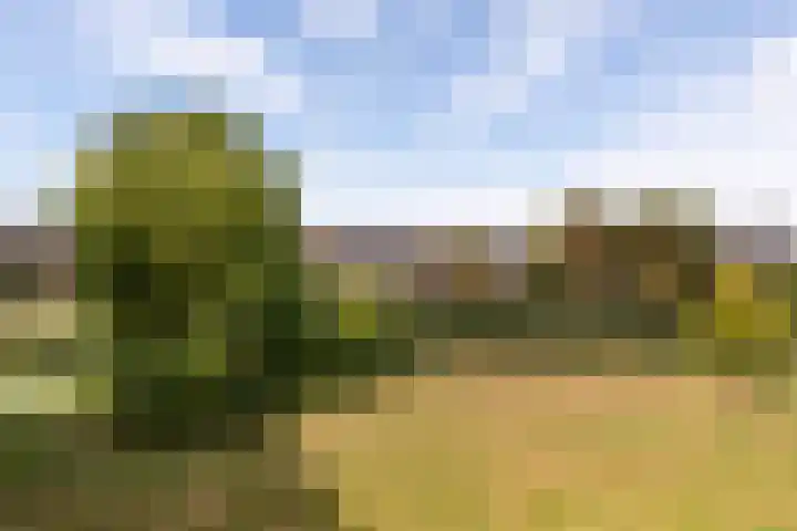 Boekelaan 49 Utrecht thumbnail 14