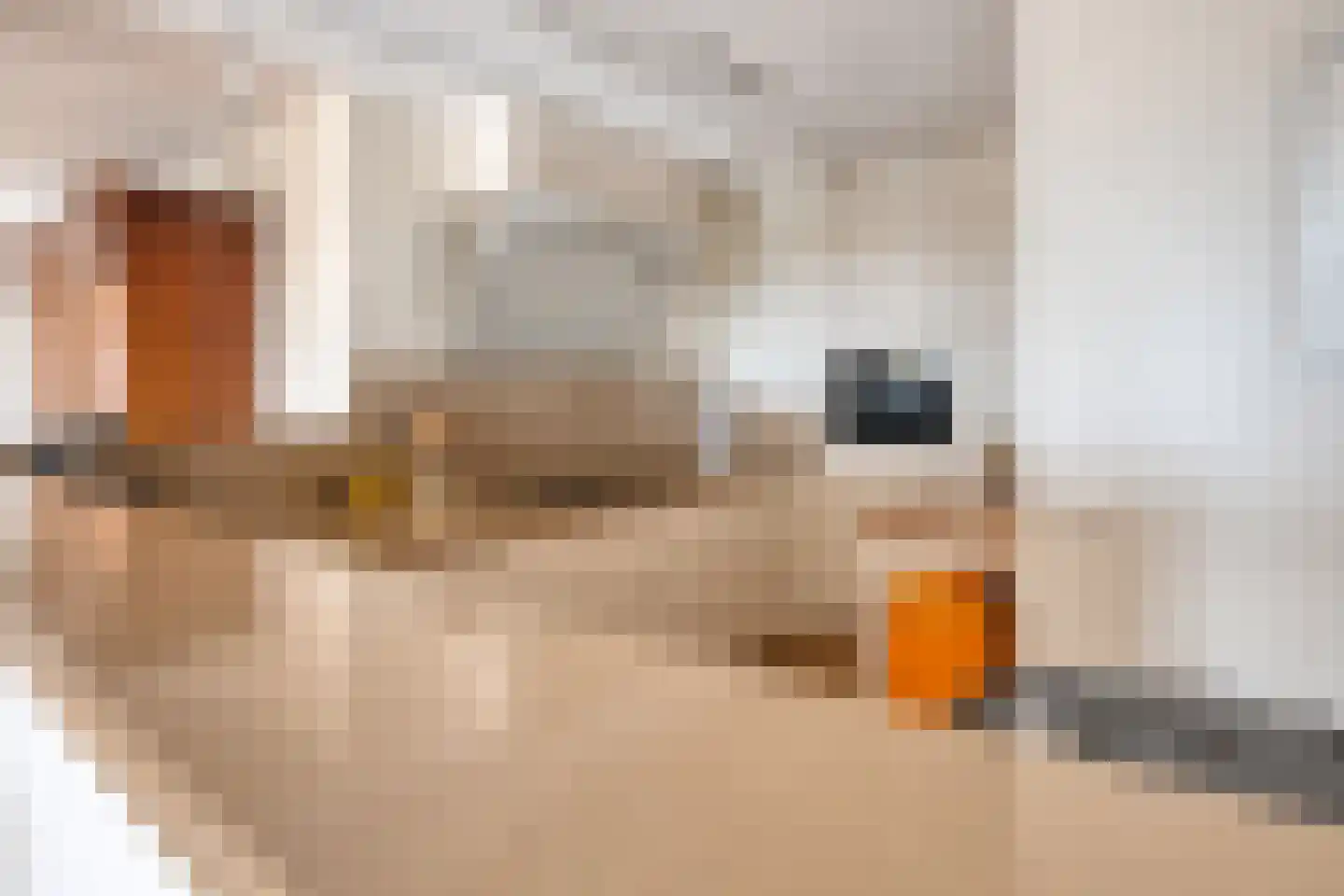 Boekelose Stoomblekerij 113 Enschede thumbnail 22
