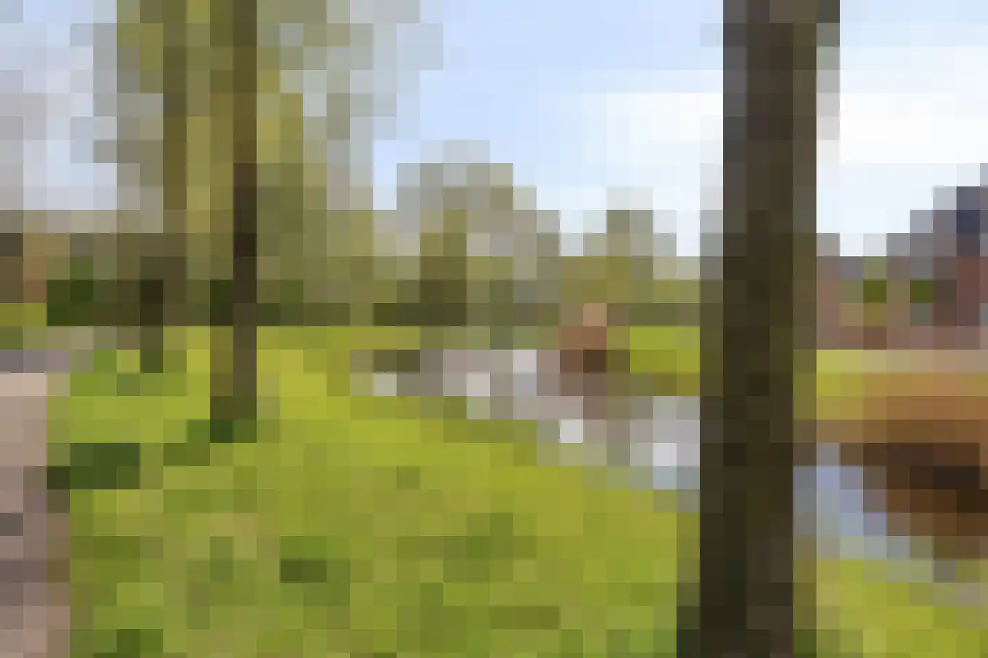 Boekelose Stoomblekerij 113 Enschede thumbnail 48