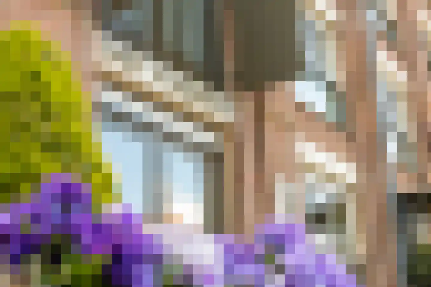Boekelose Stoomblekerij 113 Enschede thumbnail 8