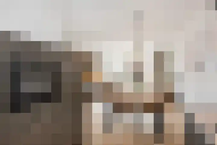 Boekelose Stoomblekerij 152 Enschede thumbnail 20