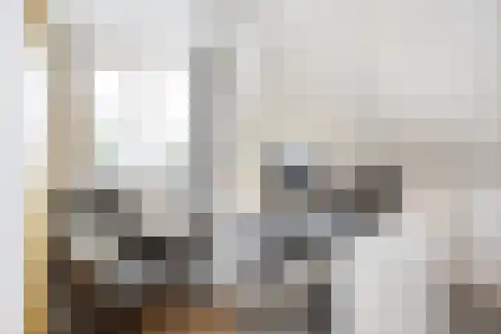 Boekelose Stoomblekerij 152 Enschede thumbnail 29