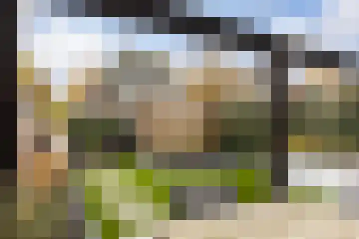 Boekelose Stoomblekerij 152 Enschede thumbnail 33