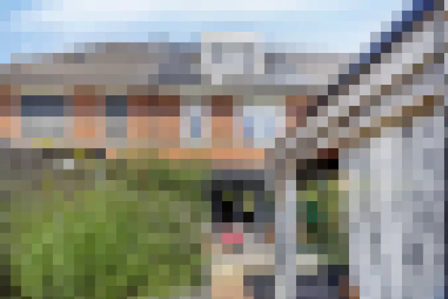 Boekelose Stoomblekerij 154 Enschede thumbnail 33