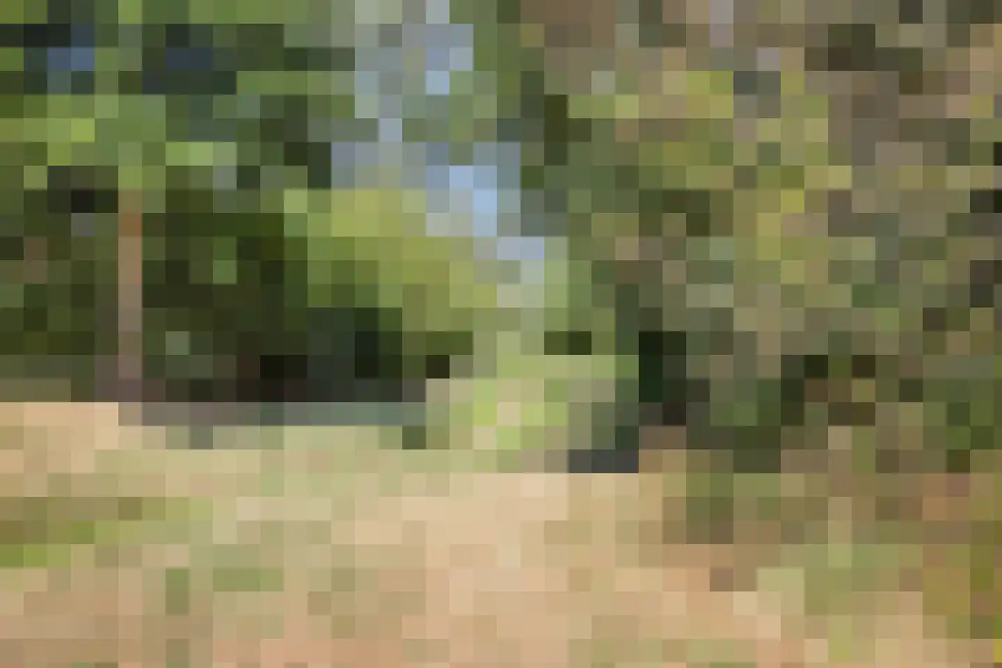 Boekelose Stoomblekerij 154 Enschede thumbnail 36
