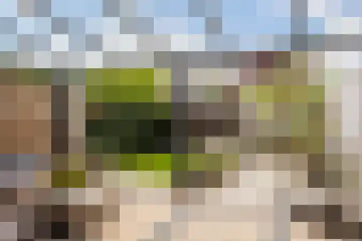 Boekelose Stoomblekerij 44 Enschede thumbnail 13