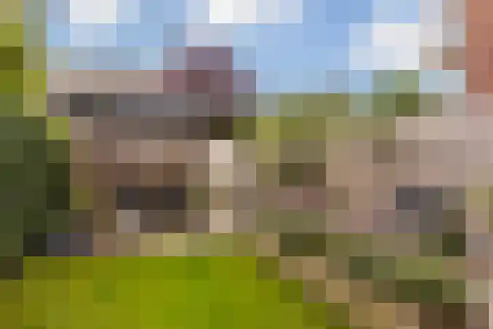 Boekelose Stoomblekerij 44 Enschede thumbnail 15