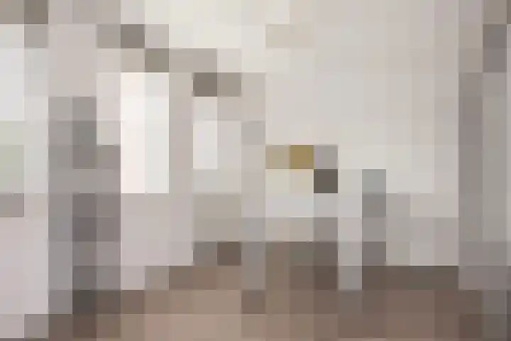 Boekelose Stoomblekerij 44 Enschede thumbnail 23