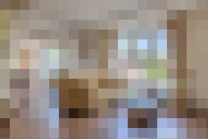 Boekelose Stoomblekerij 59 Enschede thumbnail 10