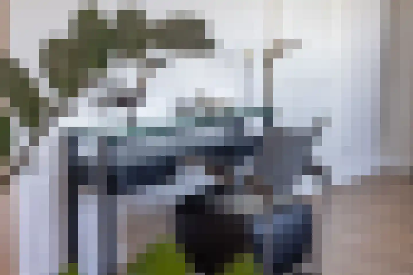 Boekelose Stoomblekerij 66 Enschede thumbnail 11