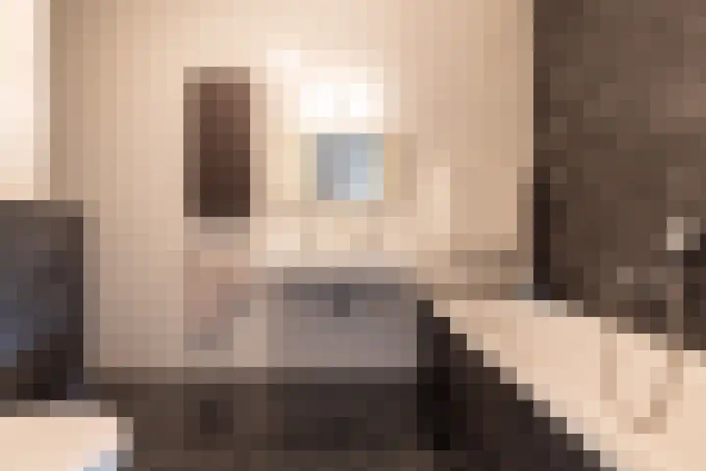 Boekelose Stoomblekerij 66 Enschede thumbnail 18