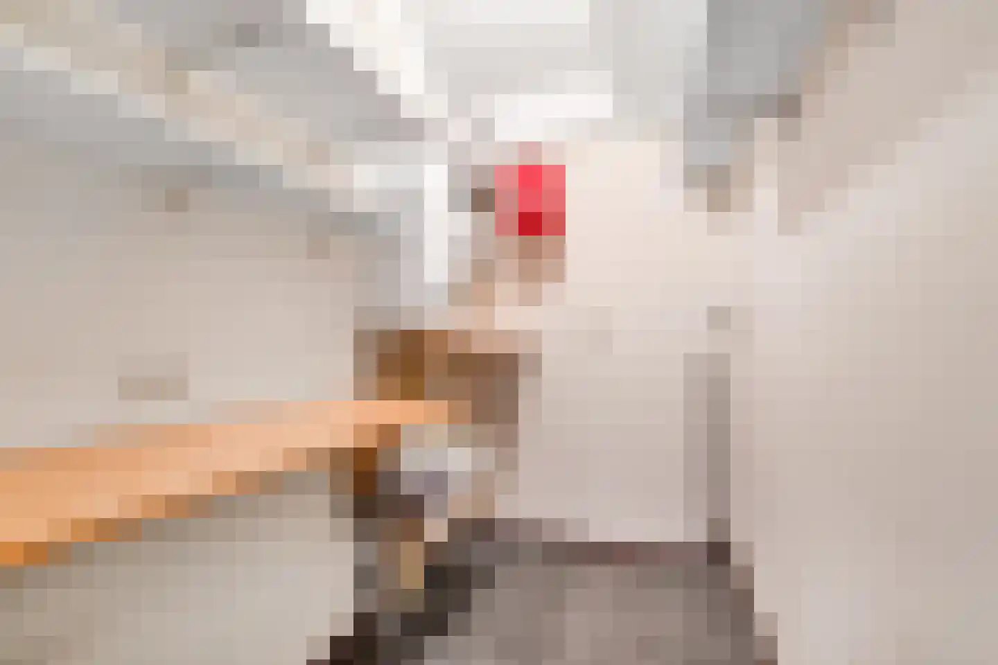 Boekelose Stoomblekerij 69 Enschede thumbnail 35