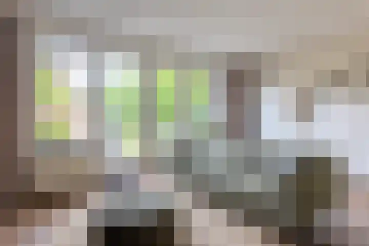Boekelose Stoomblekerij 92 Enschede thumbnail 12
