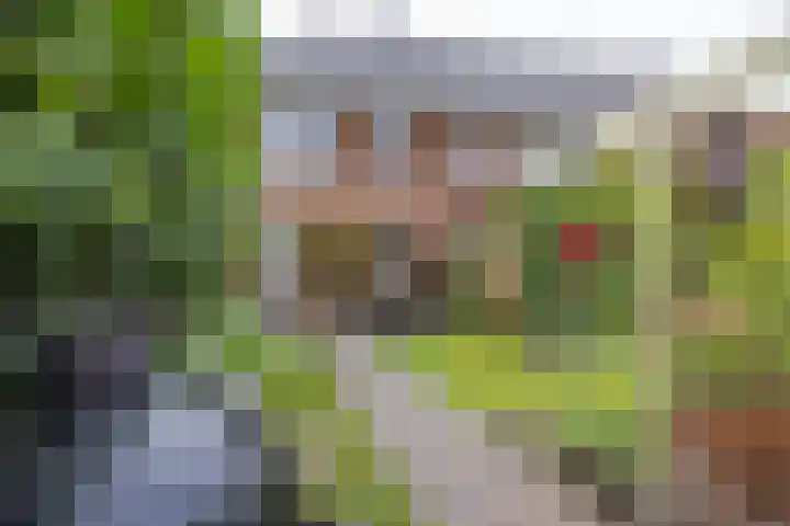 Boekelose Stoomblekerij 92 Enschede thumbnail 35