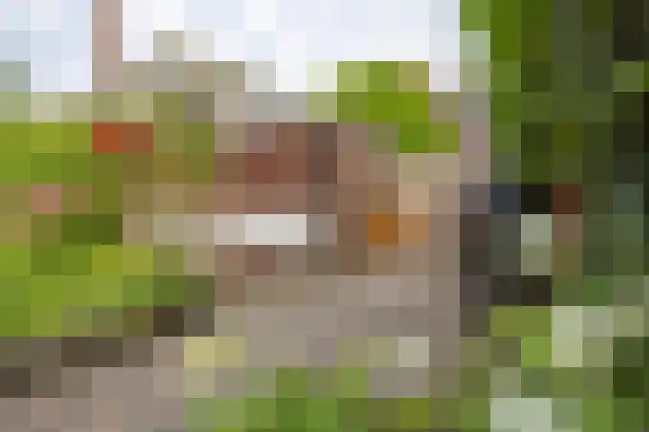 Boekelose Stoomblekerij 92 Enschede thumbnail 37