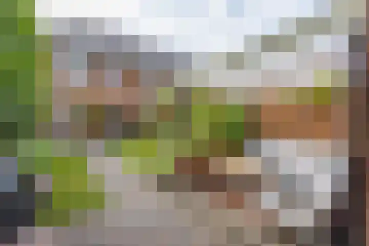 Boekelose Stoomblekerij 92 Enschede thumbnail 38