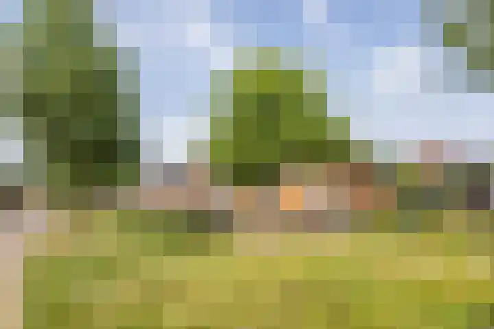 Boekelose Stoomblekerij 92 Enschede thumbnail 43
