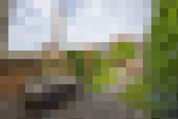Boekelose Stoomblekerij 92 Enschede thumbnail 5